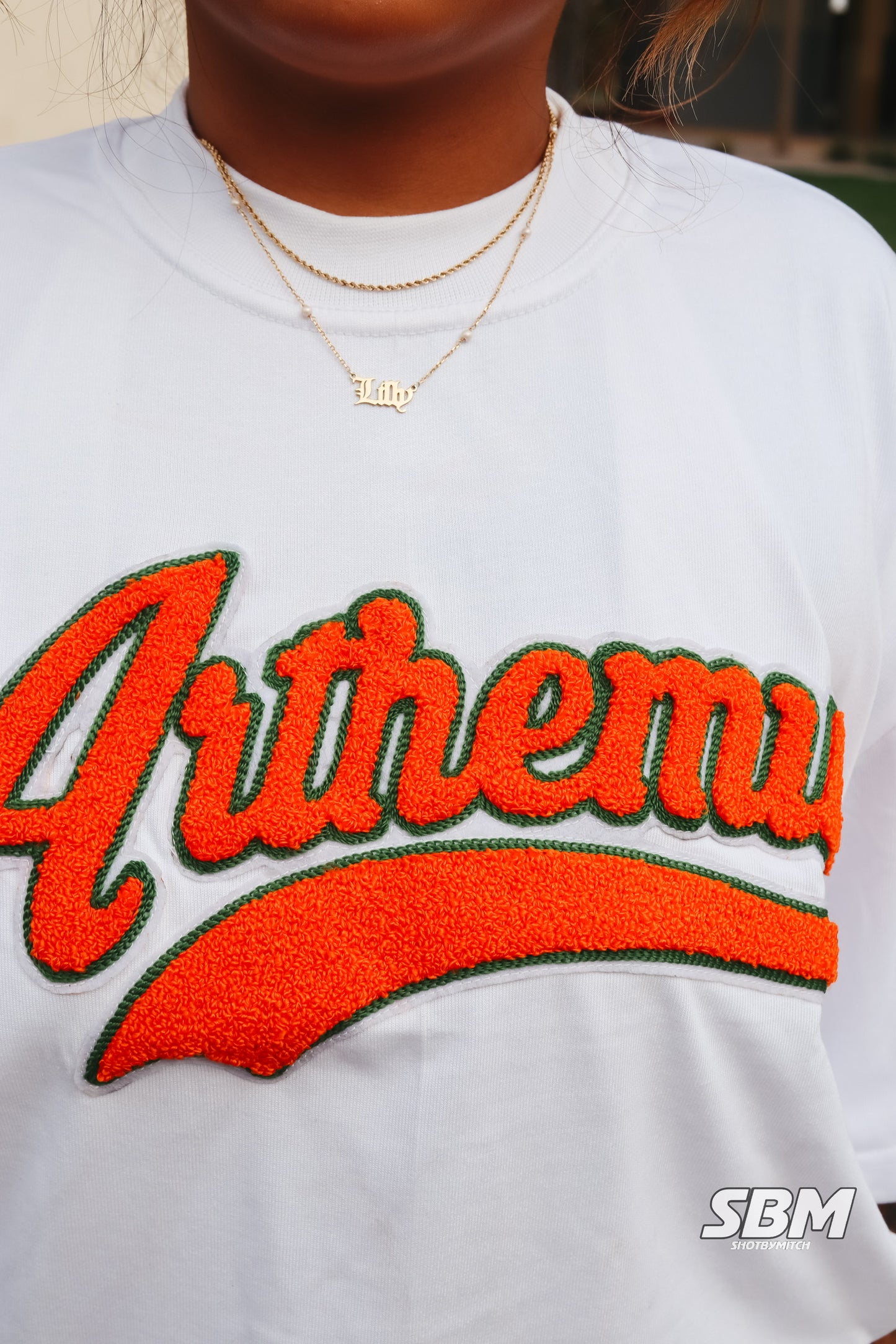 Arthemus Varsity Chenille Tee- Orange/Green